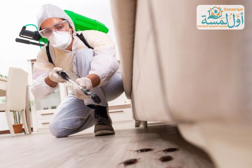 شركة مكافحة حشرات بالقصيم | مؤسسة أول لمسة