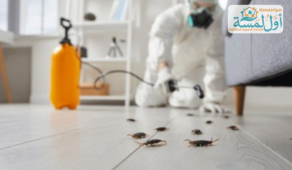 شركة مكافحة حشرات بالقصيم | مؤسسة أول لمسة