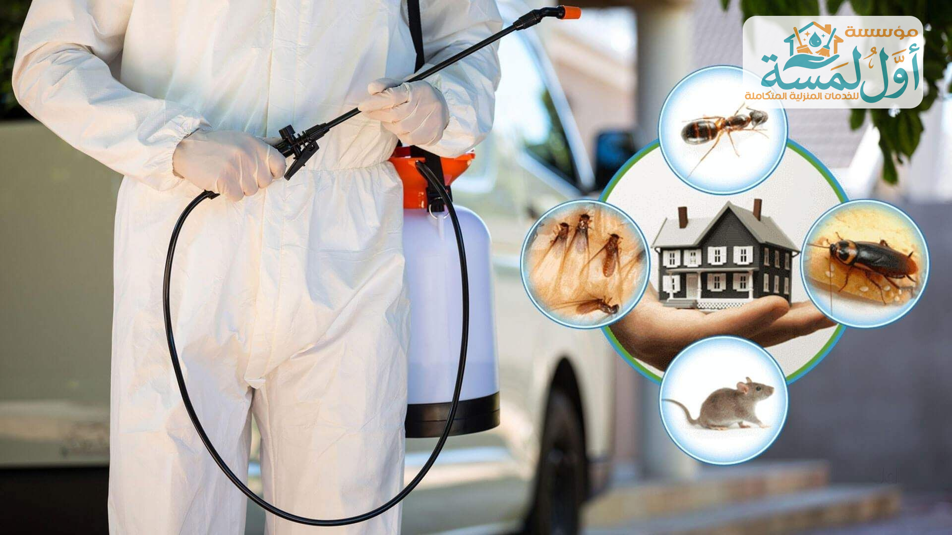 شركة مكافحة حشرات بالقصيم | مؤسسة أول لمسة