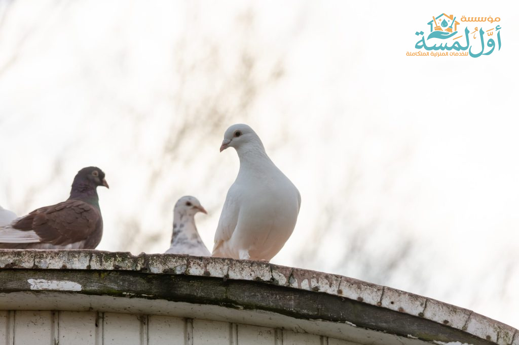 شركة تركيب شبك حمام بالقصيم | مؤسسة أول لمسة