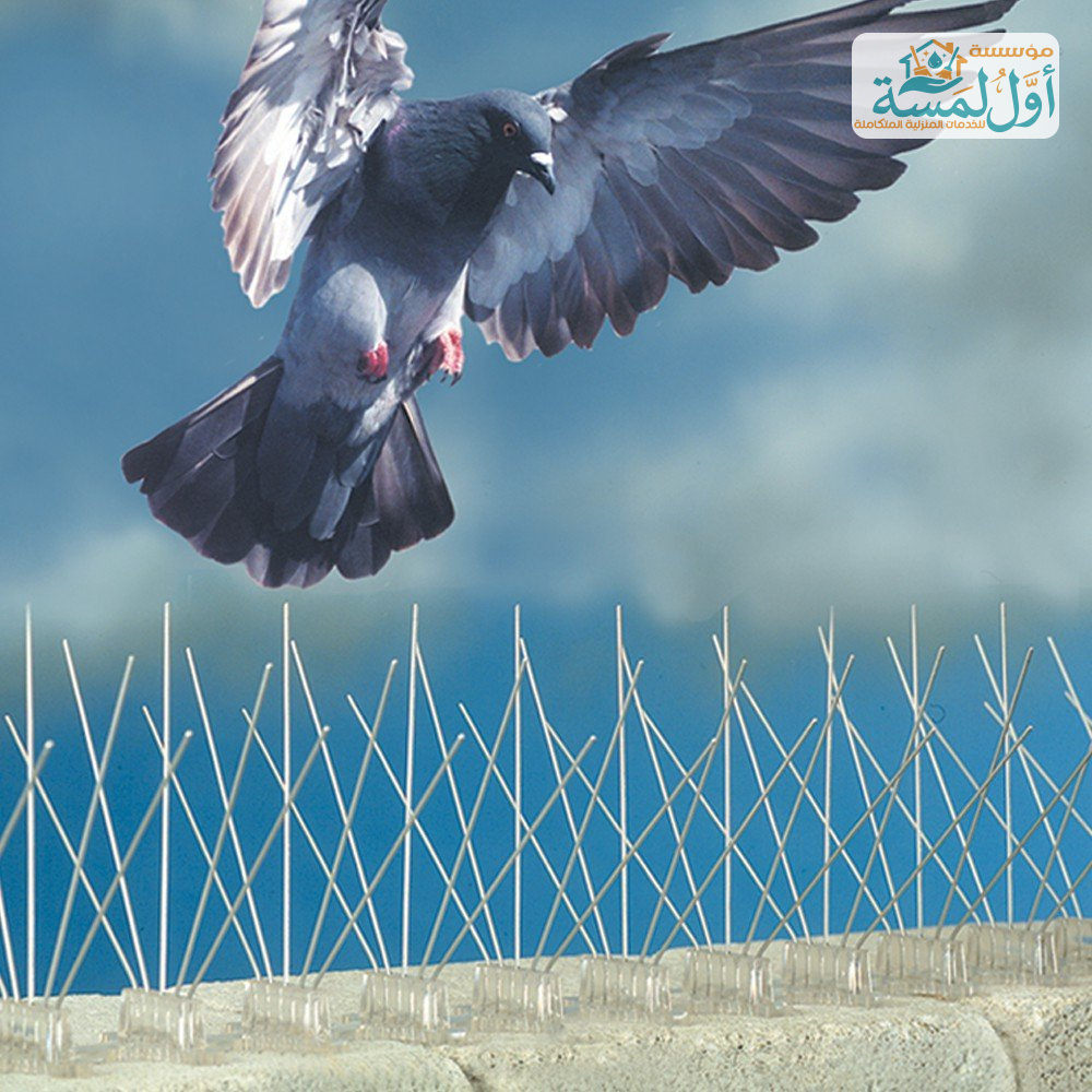 شركة تركيب طارد حمام بالقصيم | مؤسسة أول لمسة